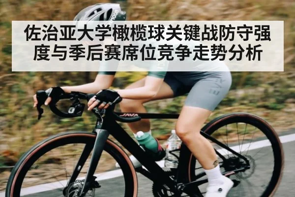 佐治亚大学橄榄球关键战防守强度与季后赛席位竞争走势分析